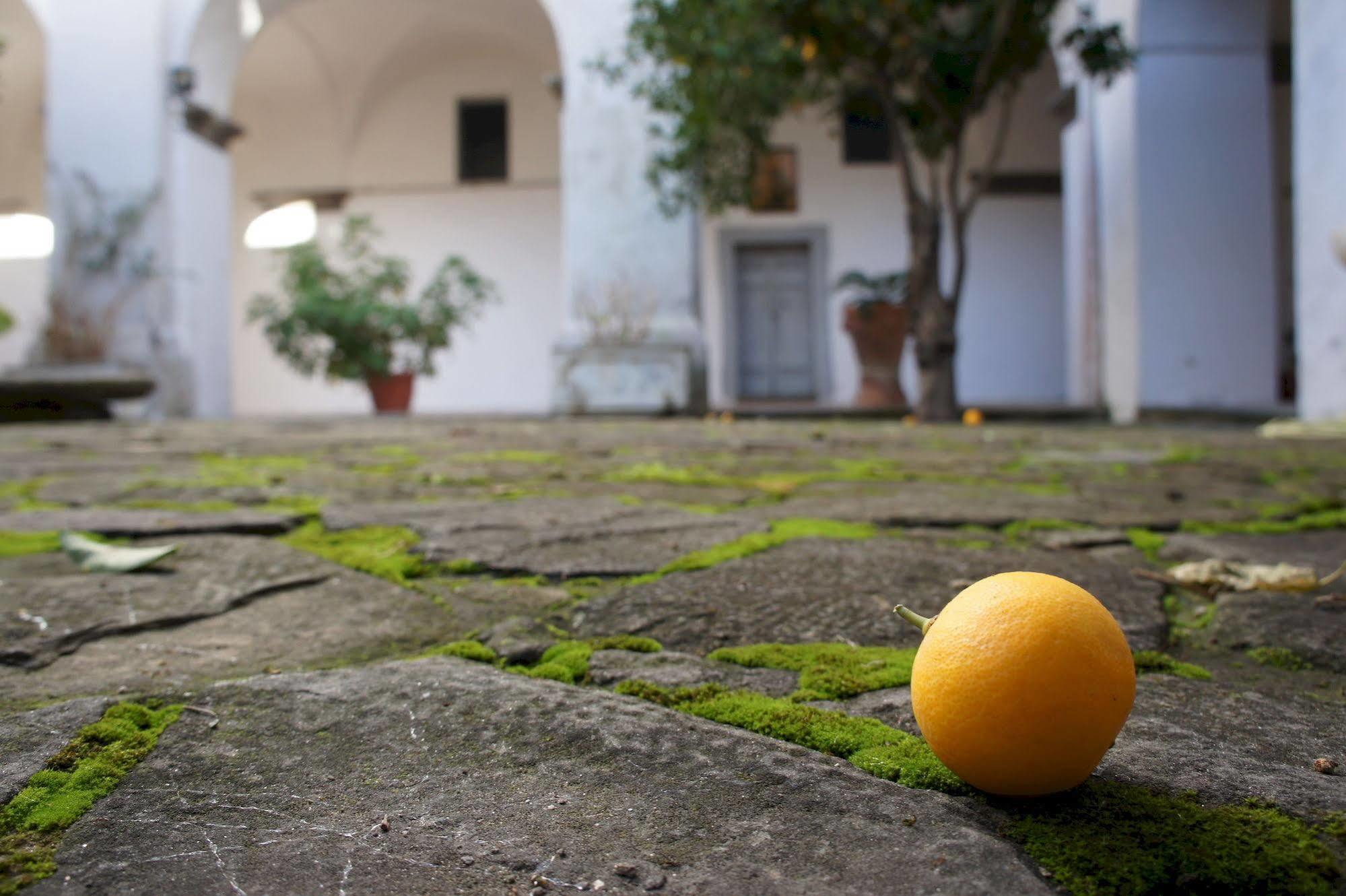 San Francesco Relais Bed and Breakfast Massa Lubrense Εξωτερικό φωτογραφία